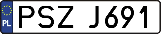 PSZJ691