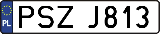 PSZJ813