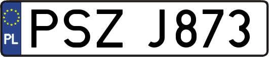 PSZJ873