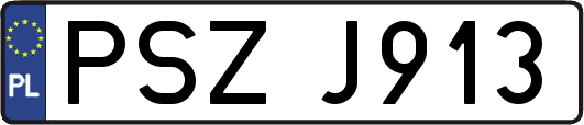 PSZJ913