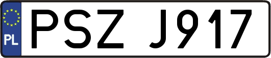 PSZJ917