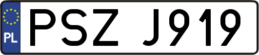 PSZJ919