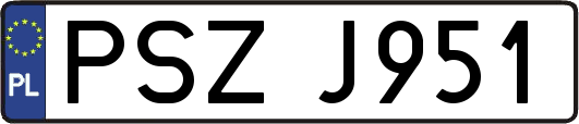 PSZJ951