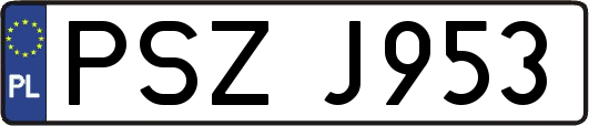 PSZJ953