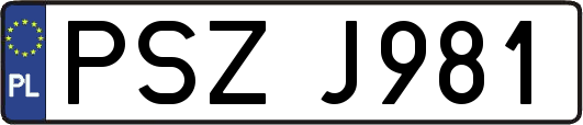 PSZJ981