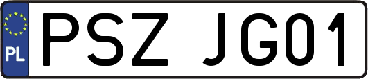 PSZJG01
