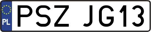 PSZJG13