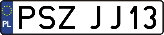 PSZJJ13