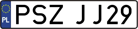 PSZJJ29