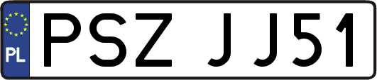 PSZJJ51