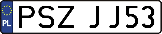 PSZJJ53