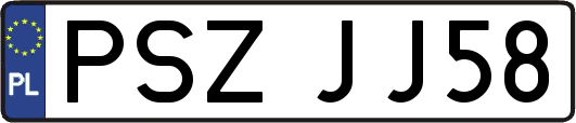 PSZJJ58