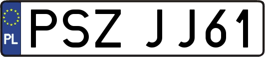 PSZJJ61
