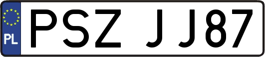 PSZJJ87