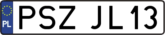 PSZJL13