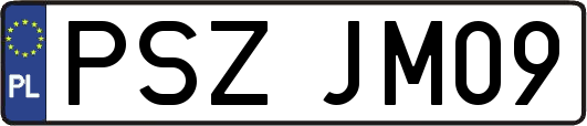 PSZJM09