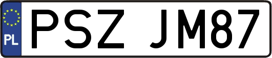PSZJM87
