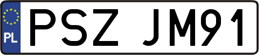PSZJM91