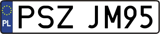 PSZJM95