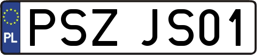 PSZJS01