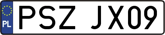 PSZJX09