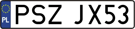 PSZJX53
