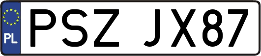 PSZJX87
