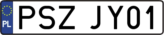 PSZJY01
