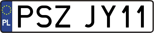 PSZJY11