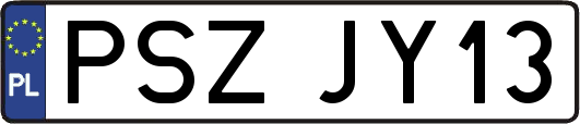 PSZJY13