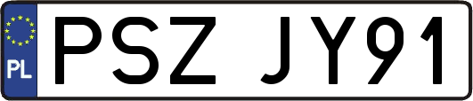 PSZJY91