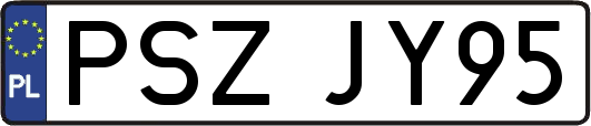 PSZJY95