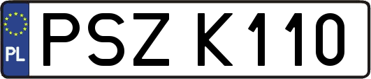 PSZK110