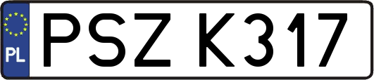 PSZK317