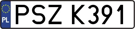 PSZK391