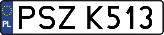 PSZK513