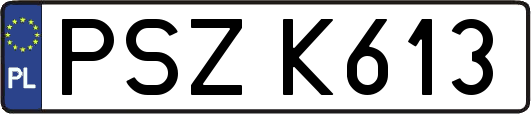 PSZK613