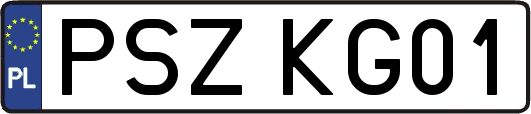 PSZKG01
