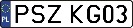PSZKG03