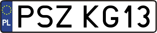 PSZKG13