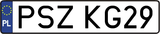 PSZKG29