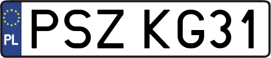 PSZKG31