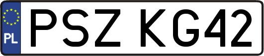 PSZKG42