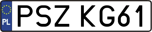 PSZKG61