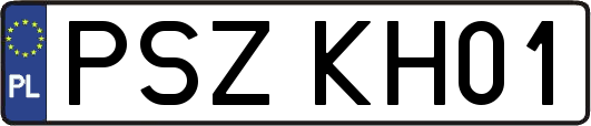 PSZKH01