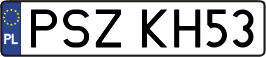 PSZKH53