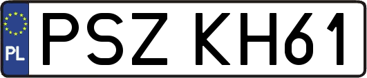 PSZKH61