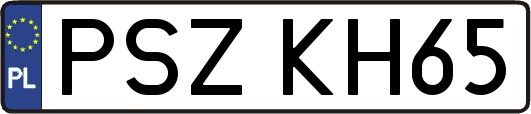 PSZKH65