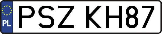 PSZKH87