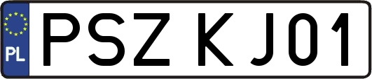 PSZKJ01